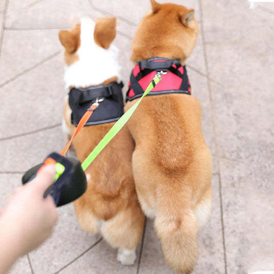 Retractable Dual Dog Leash